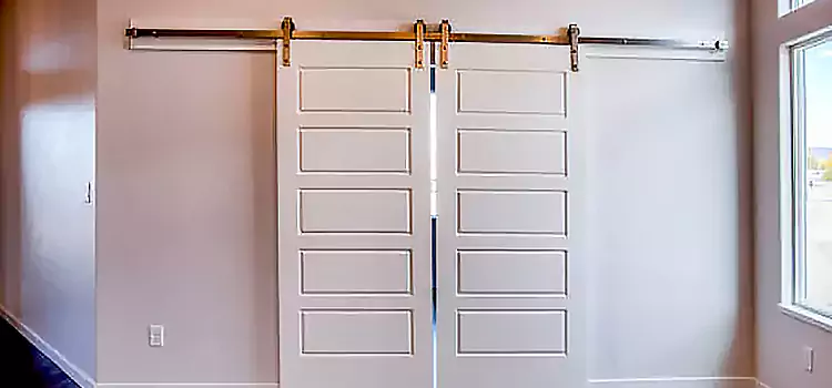 Glass Barn Door with Installation Hardware Kit East St. Louis