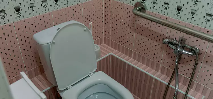 Meeting Diverse Needs With Accessible Restroom Solutions in East St. Louis, IL